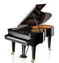 C. Bechstein B 212 Parlor Grand Piano