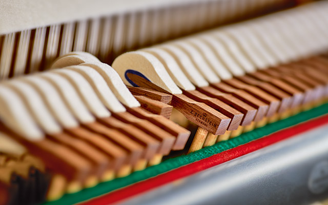 C. Bechstein Hammerköpfe